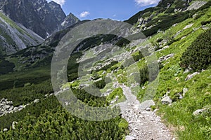 Mengusovska dolina, important hiking trail to hight mount Rysy, High Tatra mountains, Slovakia, amazing view with green hills