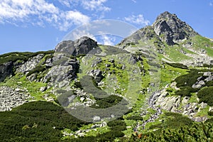 Mengusovska dolina, important hiking trail to hight mount Rysy, High Tatra mountains, Slovakia, amazing view with green hills