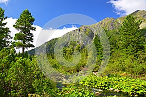 Mengusovská dolina vo Vysokých Tatrách