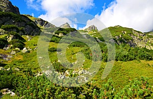 Mengusovská dolina, Vysoké Tatry Vysoké Tatry, Slovensko.