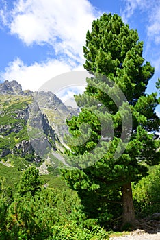 Mengusovská dolina, Vysoké Tatry (Vysoké Tatry), Slovensko