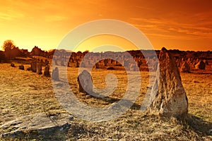 Menhir alignment in carnac in brittany