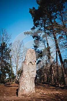 Menhir called the giant of Manio near Carnac photo