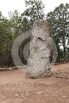 Menhir Geant du Manio - Giant of Manio  - the largest menhir in Carnac