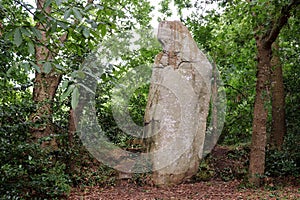 Menhir La Bonne Femme - in English The Good Woman - in Veades near Trebeurden