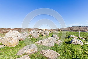 Menhir in Sardinia, Italy