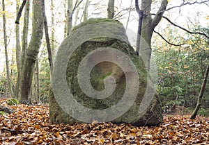 Menhir Stone Skull