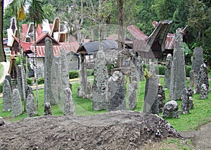 Menhirs at Bori Parinding Tana Toraja photo