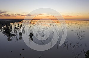 Menindee lakes in the far west of New South Wales