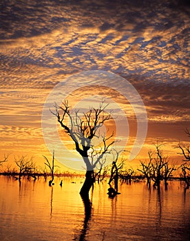 Menindee lakes, New South Wales.