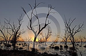 Menindee Lakes ,New South Wales