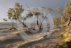 Menindee lakes NSW.