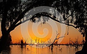 Menindee lakes at sunset.