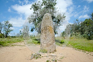 Menir dos Almendres - Evora - Portugal photo