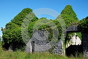 Menlo Castle, Ireland