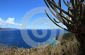 Mennebeck Bay in St John