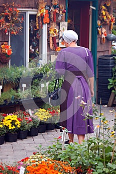 A Mennonite woman shops for autumn flowers