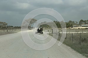 Mennonites of Belize