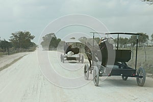 Mennonites of Belize