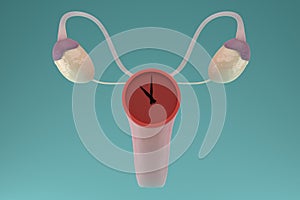 Menopause concept. Internal genital female organs with a clock on the uterus. 3D render