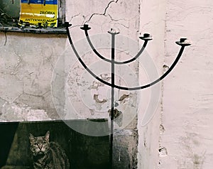 Menorah and picture with cat near the antique shop in Kazimierz, jewish district of Krakow.