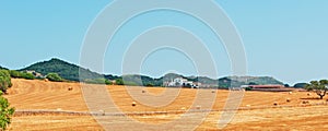 Menorca, Balearic Islands, Spain, countryside, wheat field, yellow, nature, agriculture, green, landscape, haystacks