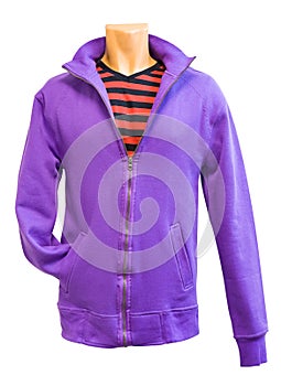 Mens sweatshirt, clipping path