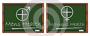 Mens Womens Health Classroom Board