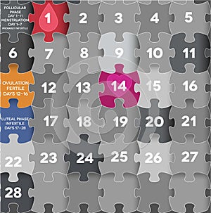 Menstrual calendar puzzle