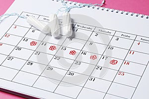 Menstrual cycle calendar. tampons, pads. Ovulation concept. menstruation concept