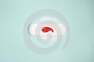 Menstrual pad with red toy fish on blue background. Menstruation cycle period