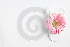 Menstrual pads and gerbera flower on white background. Gynecological care