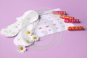 Menstrual pads and tampons on menstruation period calendar with chamomiles on pink background