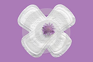 Daily, menstrual woman pads for hygiene or blood period. Menstruation sanitary soft pads with flowers, hygiene protection. Woman c