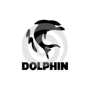 dolpin logo design template