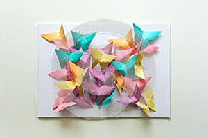 Mental health concept. Colorful paper butterflies sitting on book in shape of butterfly. Harmony emotion. Origami. Paper cut style