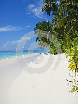 Mentawai beach photo