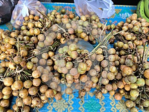 Menteng green and yellow round fruit that has been tied and ready to be sold.  Tropical fruit with a sweet and sour taste.