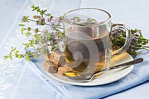 Mentha pulegium infusion