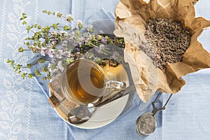 Mentha pulegium infusion