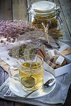 Mentha pulegium or pennyroyal tea and chamomile flowers