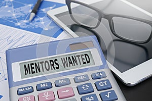 MENTORS WANTED photo