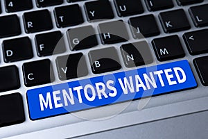 MENTORS WANTED