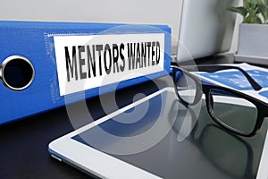 MENTORS WANTED
