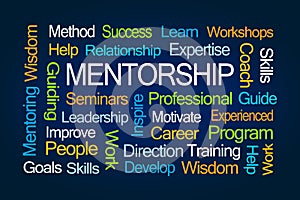 Mentorship Word Cloud