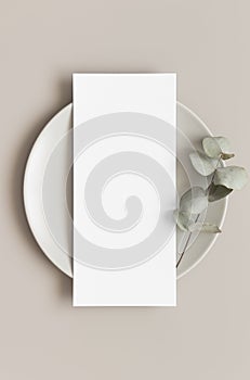Menu card mockup with a eucalyptus branch on a plate, 4x9 ratio