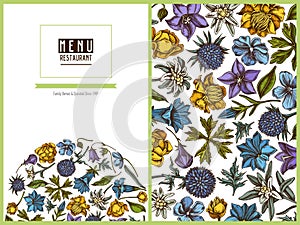 Menu cover floral design with colored bellflower, edelweiss, globethistle, globeflower, meadow geranium, gentiana