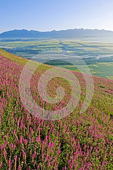 Menyuan scenery