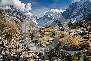 Mer De Glace Glacier From Le Signal Forbes-France