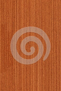 Meranti (wood texture)